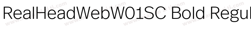 RealHeadWebW01SC Bold Regular字体转换